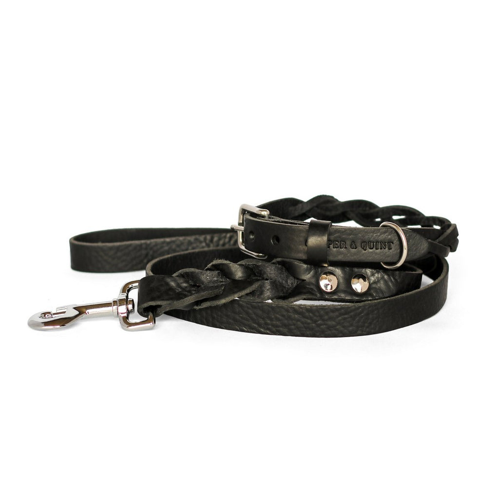 Cooper & Quint Geflochtene Hundeleine – Schwarz