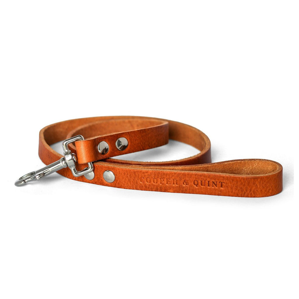 Cooper & Quint No Fuss Leren Hondenriem – Camel
