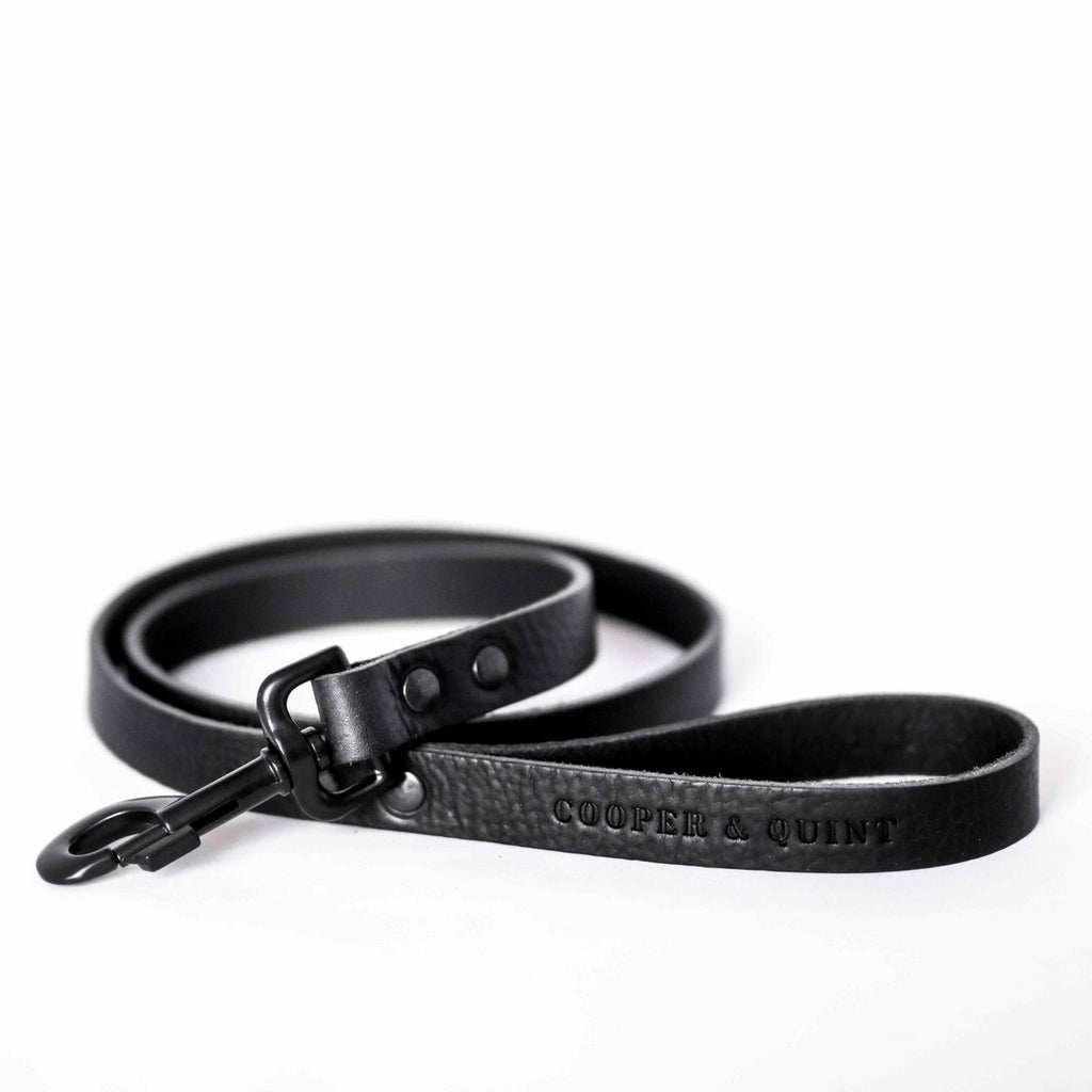 Cooper & Quint No Fuss Leren Hondenriem – Zwart