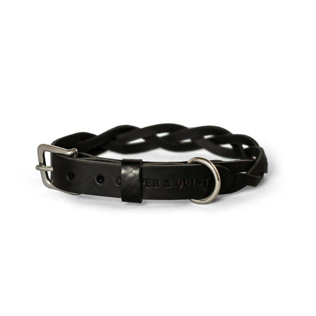 Cooper & Quint geflochtenes Hundehalsband – Schwarz