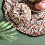 Platzset-Set von zwei, aus Bananenfaser & Seegras 38 cm