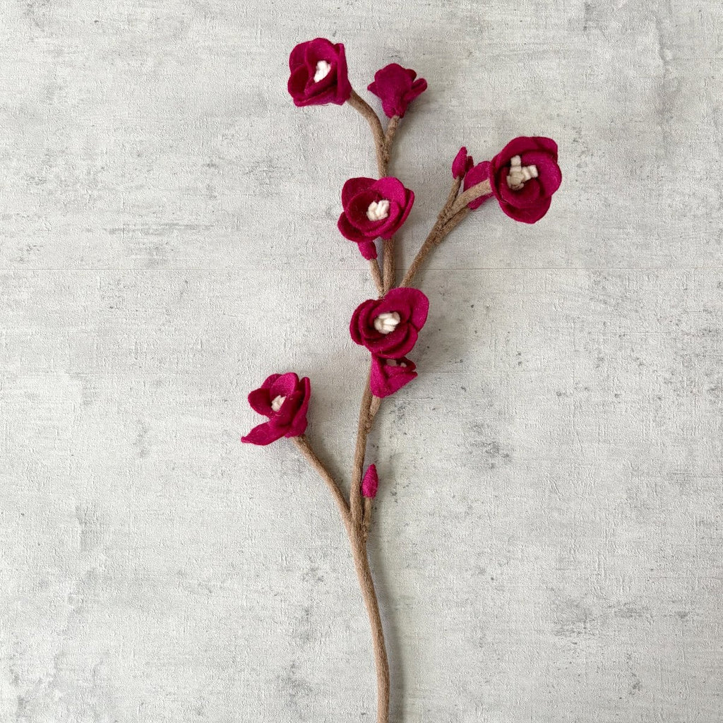 Kirschblüte groß Aubergine