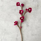 Kirschblüte groß Aubergine