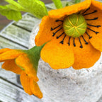 Mohnblume rot und orange