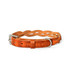 Cooper & Quint Twisted Braided Dog Collar – Camel