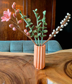Eucalyptus branch