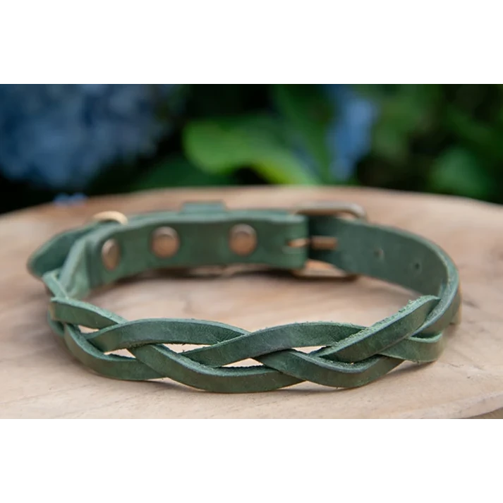 Cooper & Quint Geflochtenes Hundehalsband – Grün