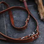 Cooper & Quint Switch Verstelbare Hondenriem – Bruin