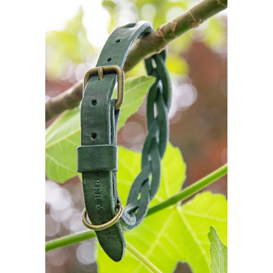 Cooper & Quint Twisted Braided Dog Collar – Green