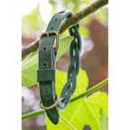Cooper & Quint Twisted Braided Dog Collar – Green