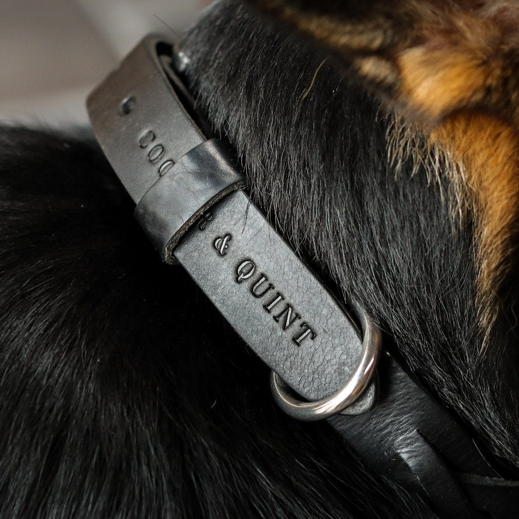 Cooper & Quint geflochtenes Hundehalsband – Schwarz