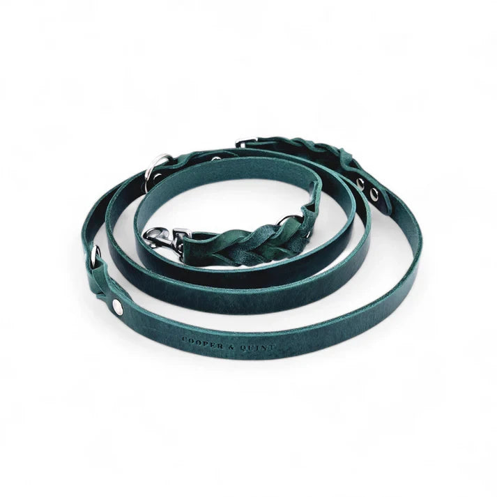 Cooper & Quint Twisted Switch Adjustable Dog Leash – Green