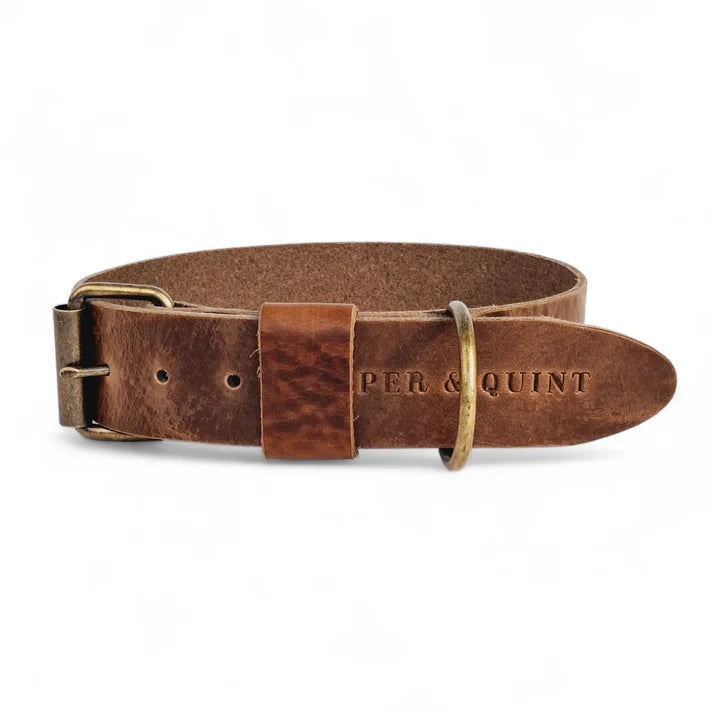 Cooper & Quint Fettlederhalsband für Hunde – Stone