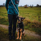Cooper & Quint Just Cotton Verstelbare Hondenriem – Ecru