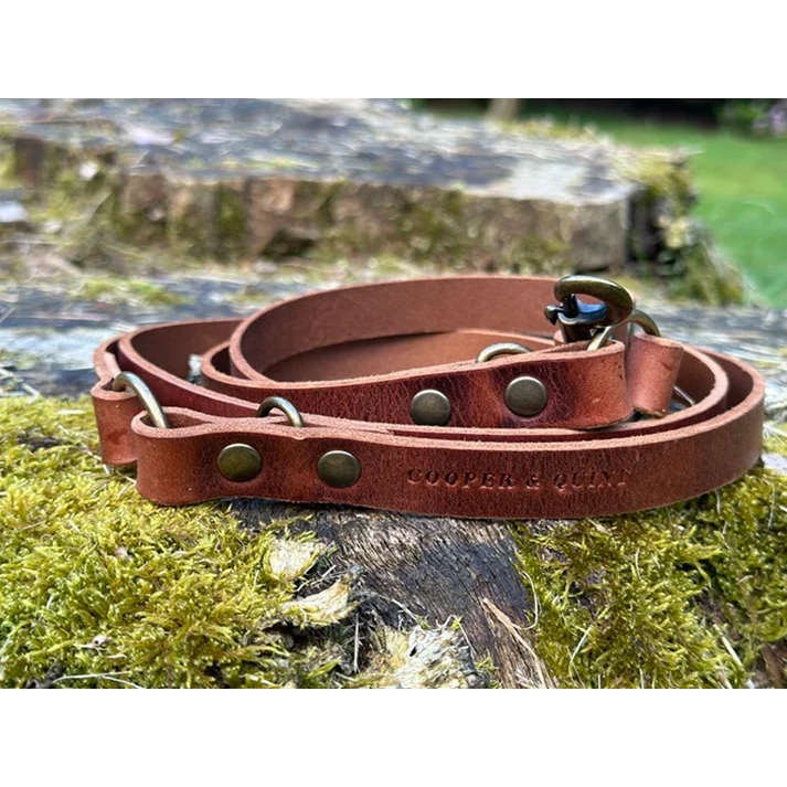 Cooper & Quint Switch Adjustable Dog Leash - Brown