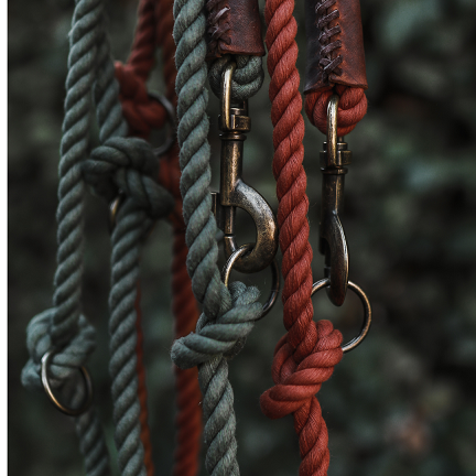 Cooper & Quint Twisted Cotton Verstellbare Hundeleine in Storm Grey