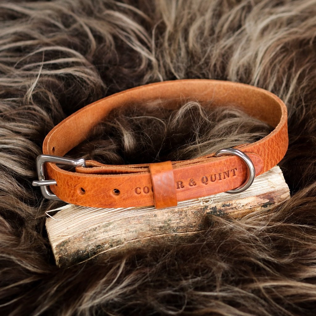 Cooper & Quint „No Fuss“ Lederhalsband für Hunde – Camel