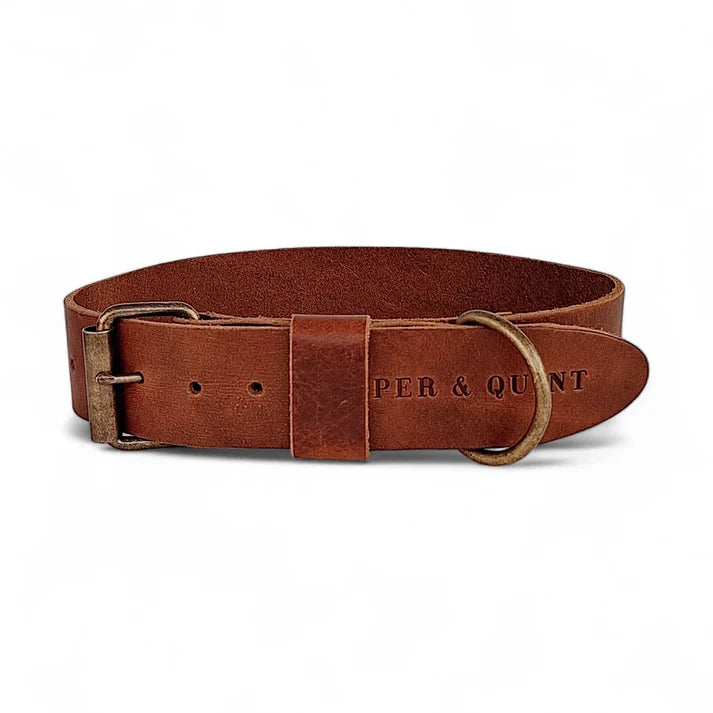 Cooper & Quint Bold Leren Hondenhalsband – Bruin