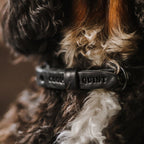 Cooper & Quint geflochtenes Hundehalsband – Schwarz