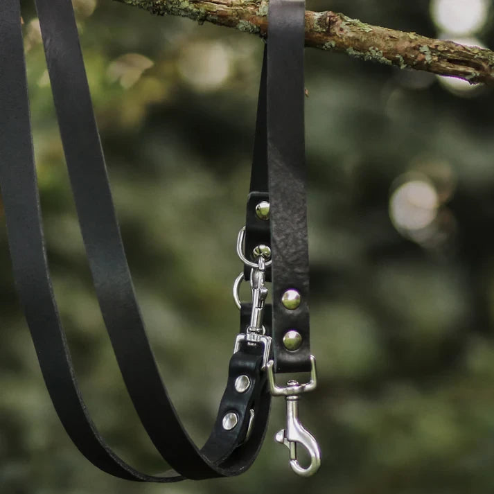 Cooper & Quint Switch Adjustable Dog Leash – Black
