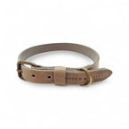 Cooper & Quint No Fuss Lederhalsband für Hunde – Stone