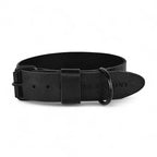Cooper & Quint kühnes Lederhalsband für Hunde – Schwarz