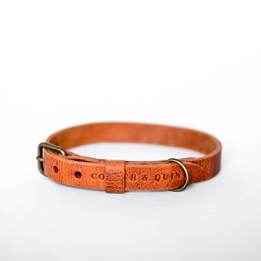 Cooper & Quint „No Fuss“ Lederhalsband für Hunde – Camel