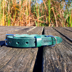 Cooper & Quint Twisted Braided Dog Collar – Green
