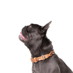 Cooper & Quint Twisted Braided Dog Collar – Camel