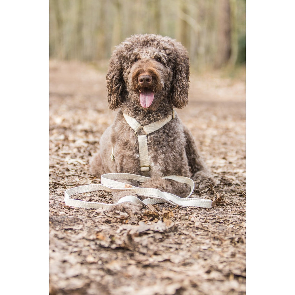 Cooper & Quint Simply Hemp Hondenriem Schelpenwit