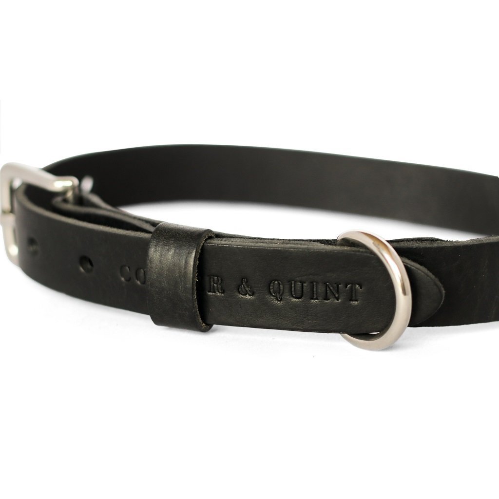 Cooper & Quint "No Fuss" Lern-Hundehalsband – Schwarz