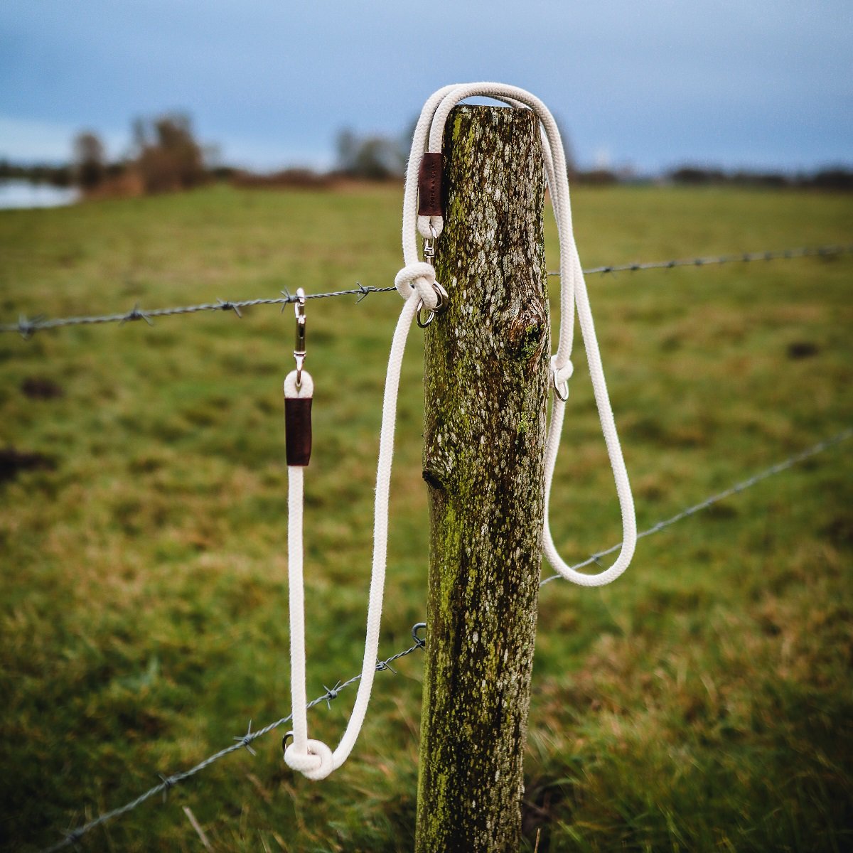 Cooper & Quint Just Cotton Verstelbare Hondenriem – Ecru
