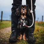 Cooper & Quint Just Cotton Verstelbare Hondenriem – Ecru