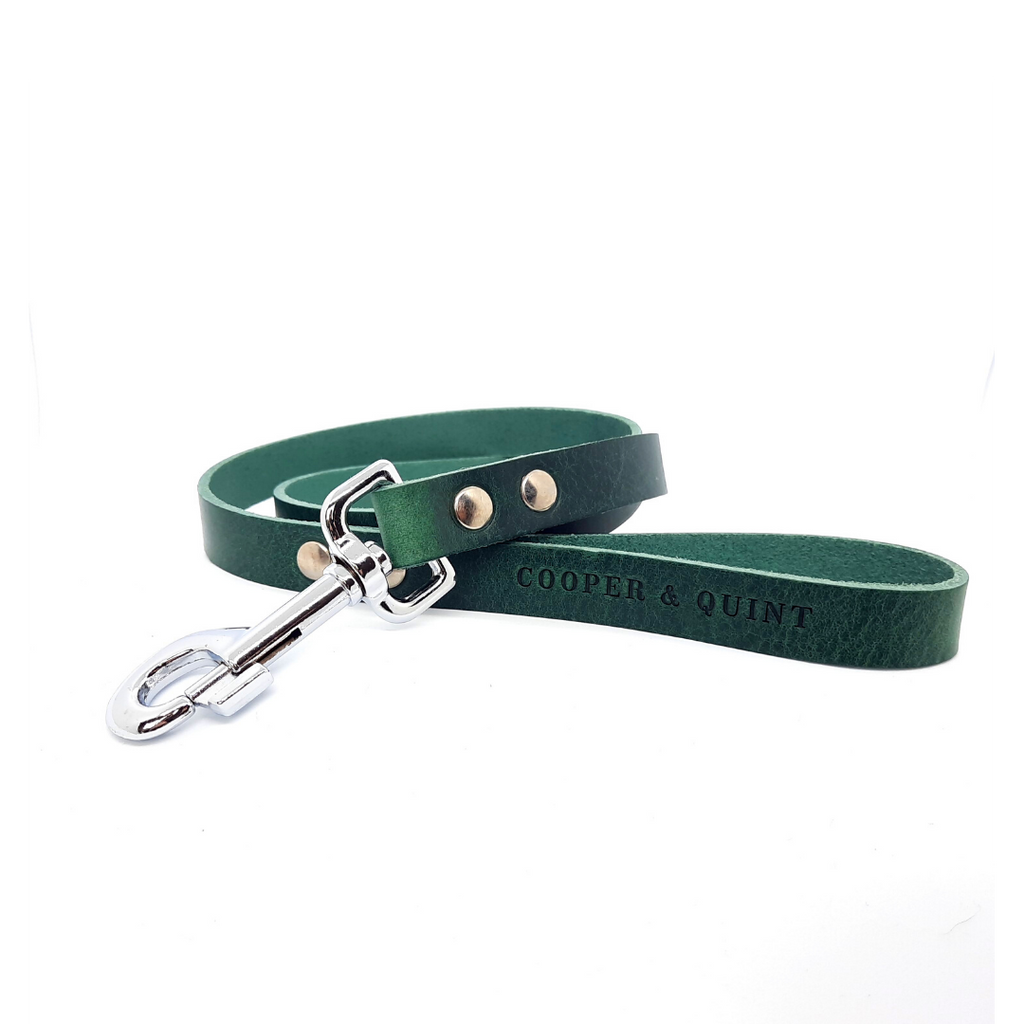 Cooper & Quint No-Fuss Hundeleine – Grün