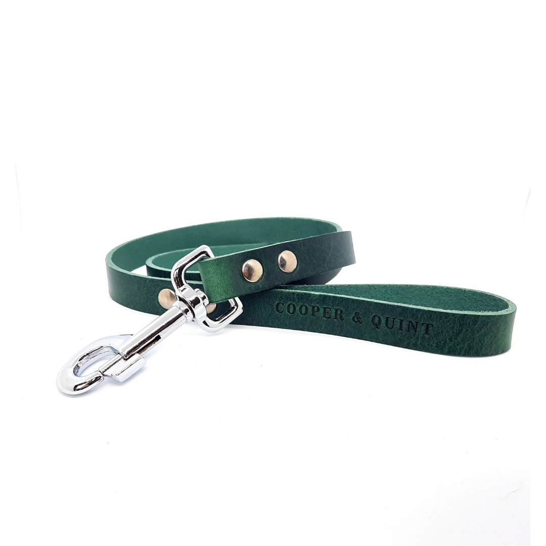 Cooper & Quint No-Fuss Hundeleine – Grün