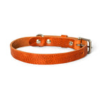 Cooper & Quint „No Fuss“ Lederhalsband für Hunde – Camel