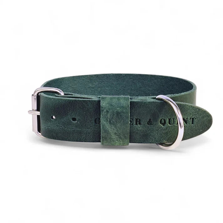 Cooper & Quint Bold Lederhalsband für Hunde – Grün