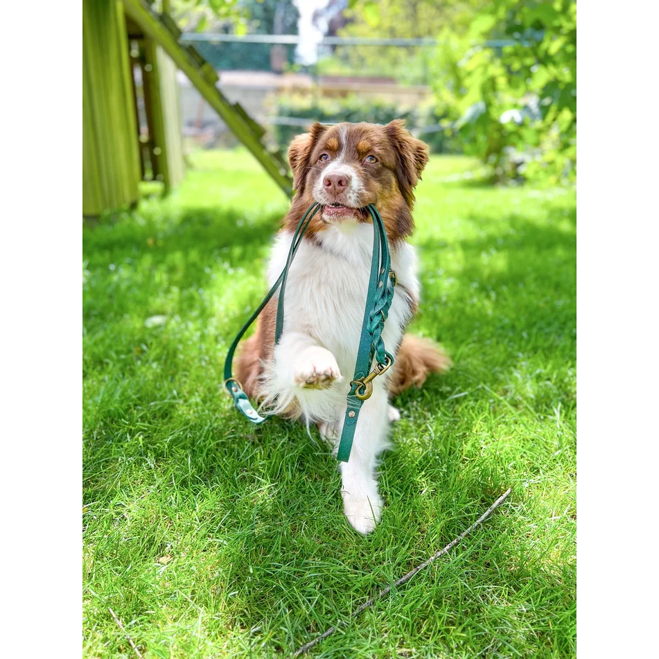 Cooper & Quint Twisted Switch Adjustable Dog Leash – Green