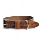 Cooper & Quint Fettlederhalsband für Hunde – Stone
