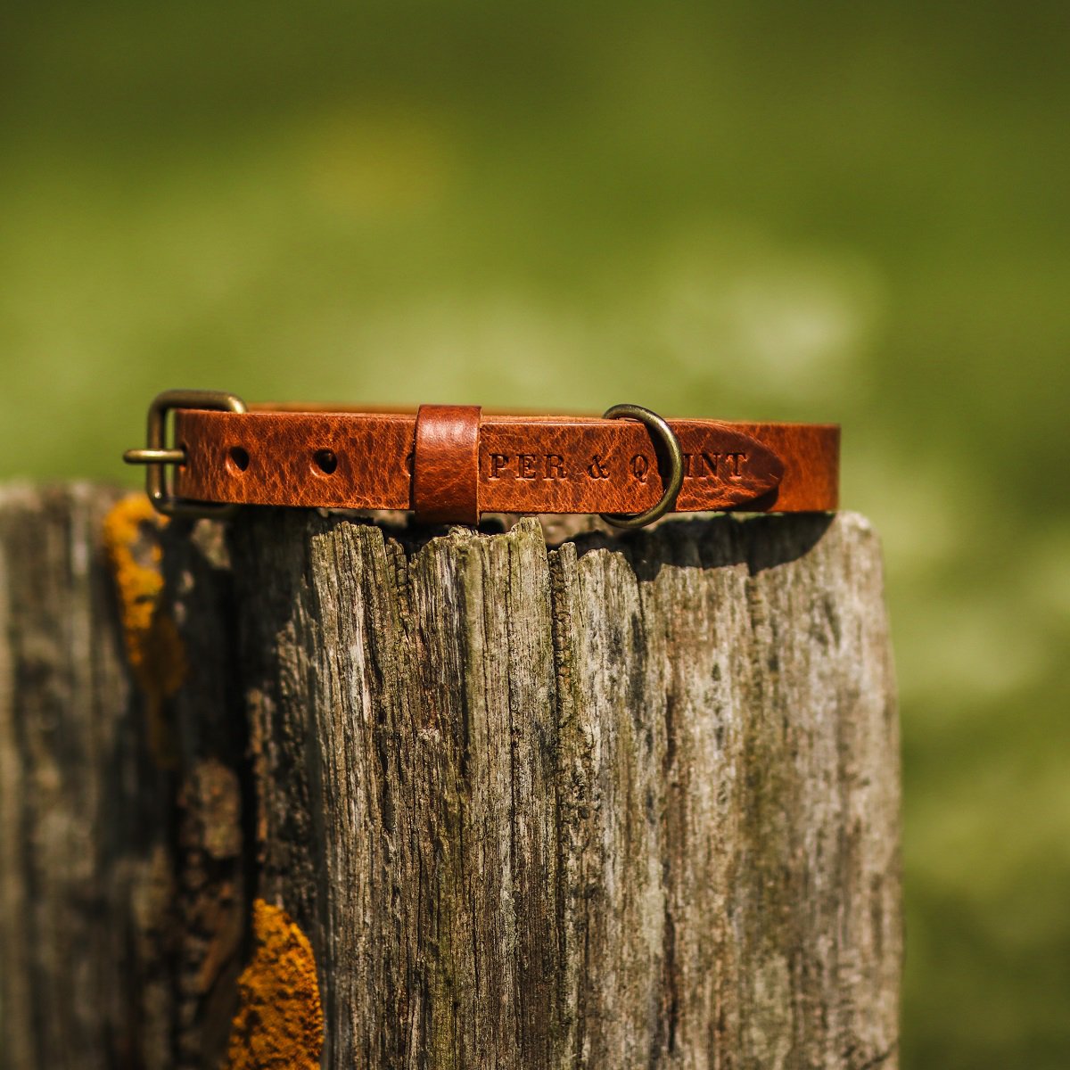 Cooper & Quint No Fuss Lederhalsband – Braun
