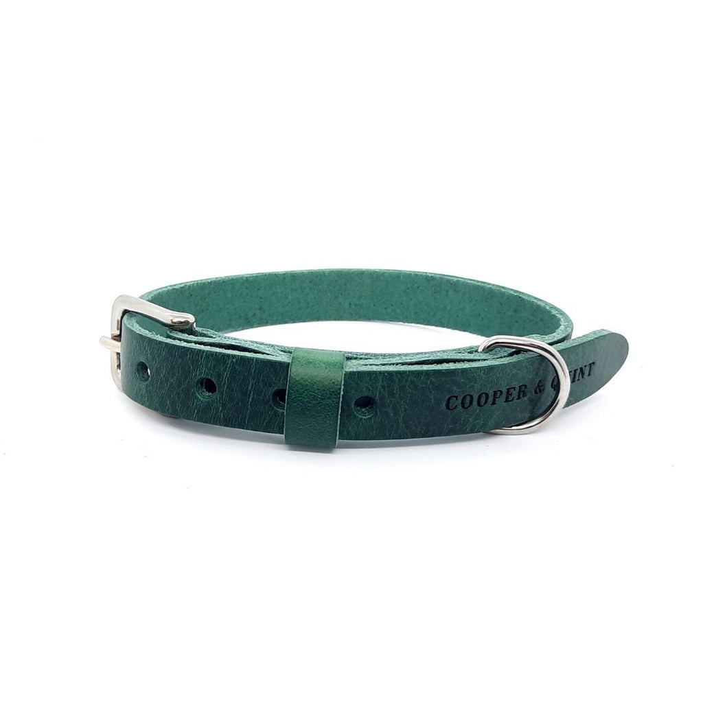 Cooper & Quint No Fuss Lern-Halsband für Hunde – Grün
