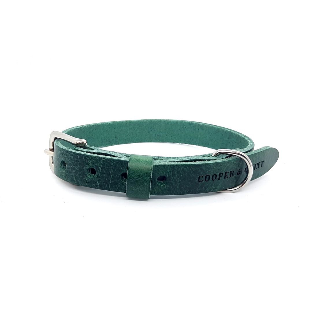 Cooper & Quint No Fuss Lern-Halsband für Hunde – Grün
