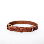 Cooper & Quint No Fuss Lederhalsband – Braun