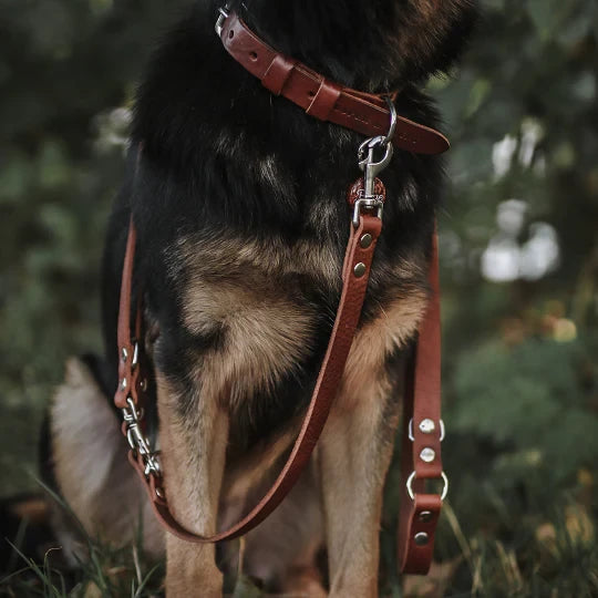 Cooper & Quint Switch Adjustable Dog Leash - Brown