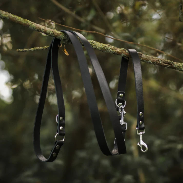 Cooper & Quint Switch Adjustable Dog Leash – Black