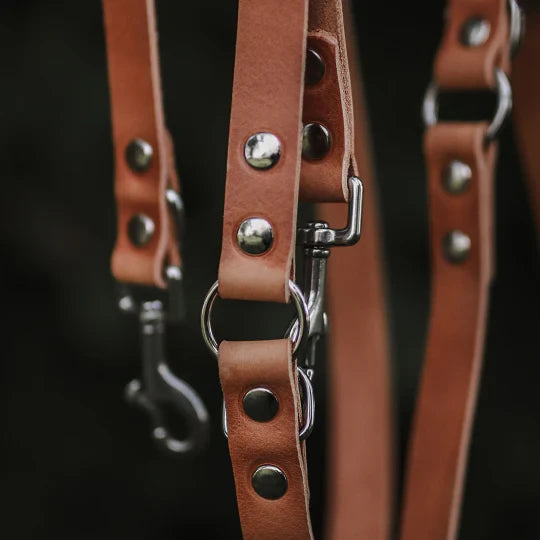 Cooper & Quint Switch Adjustable Dog Leash - Brown