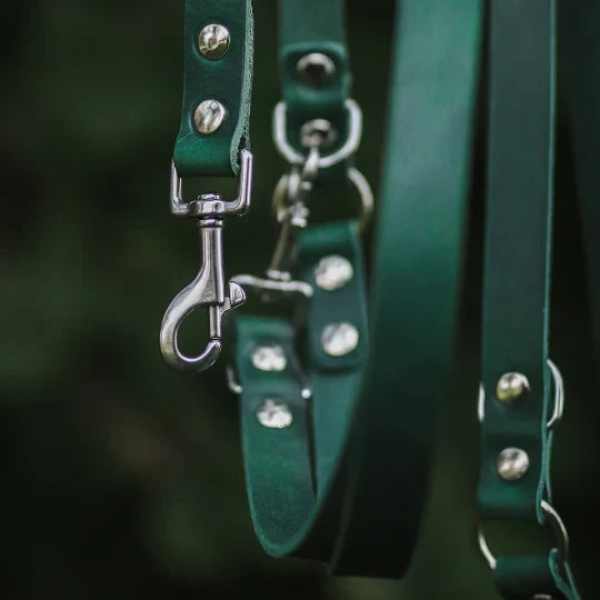 Cooper & Quint Switch Adjustable Dog Leash – Green