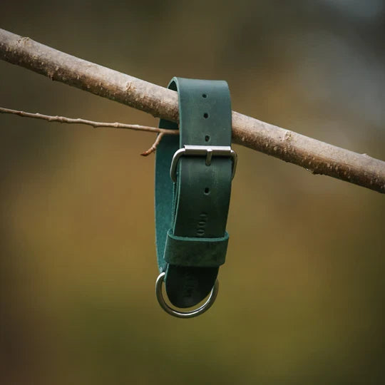 Cooper & Quint Bold Lederhalsband für Hunde – Grün