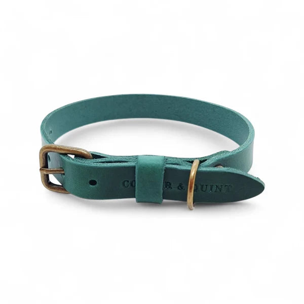 Cooper & Quint No Fuss Lern-Halsband für Hunde – Grün
