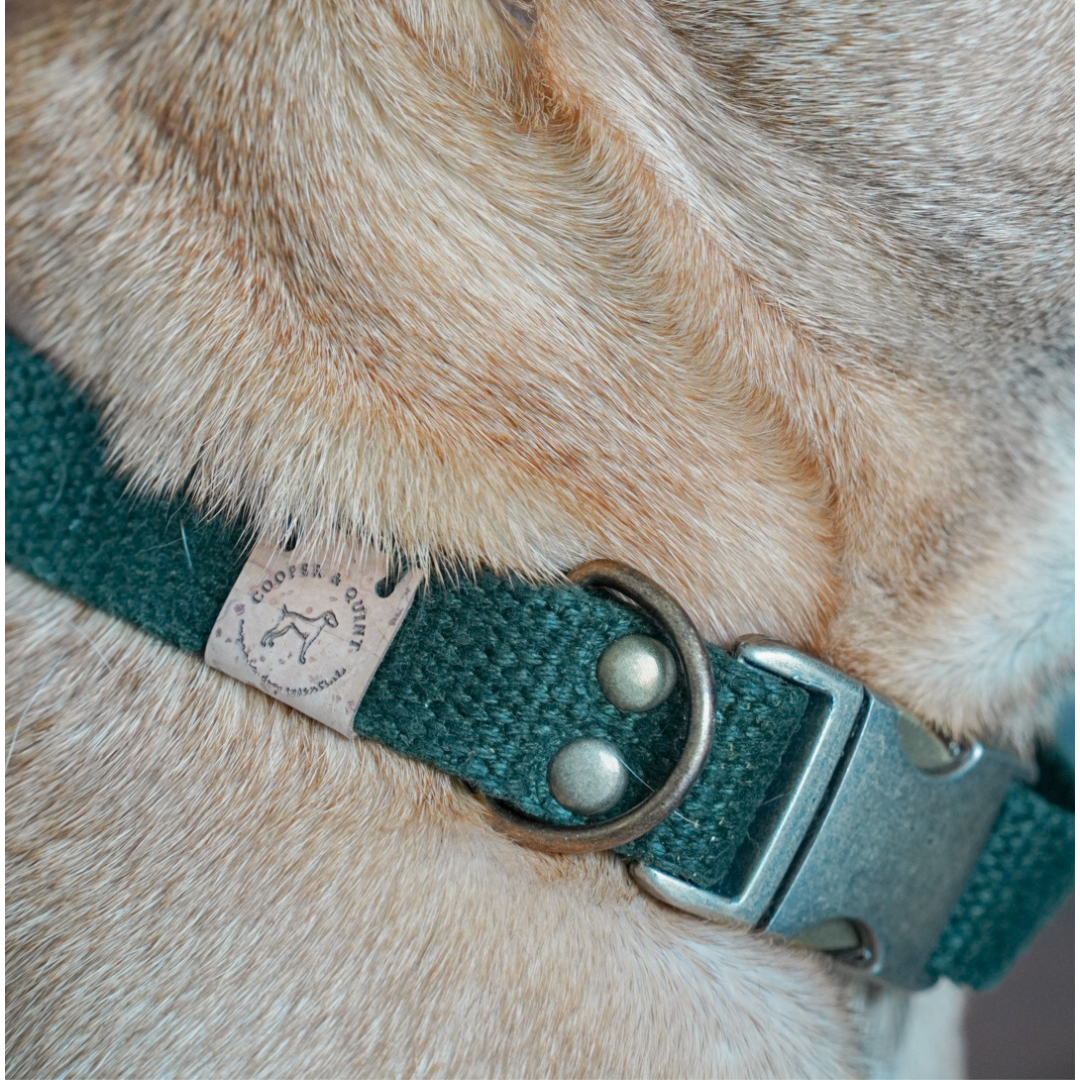 Cooper & Quint Simply Hemp Hundehalsband – Waldgrün